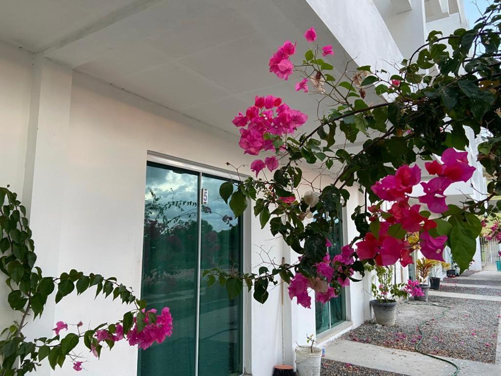 Solar Teixeira Flats Hotell Pôrto das Galinhas Exteriör bild
