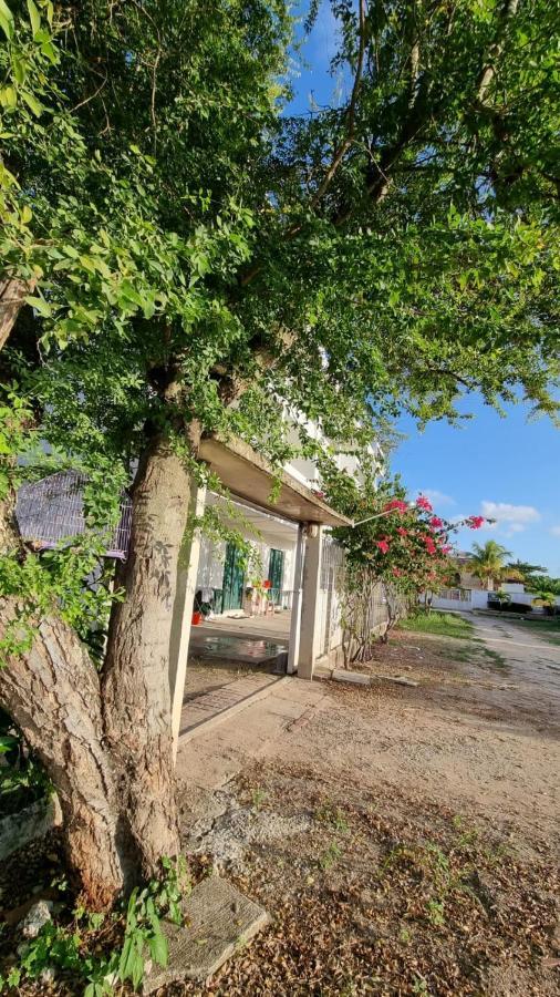 Solar Teixeira Flats Hotell Pôrto das Galinhas Exteriör bild